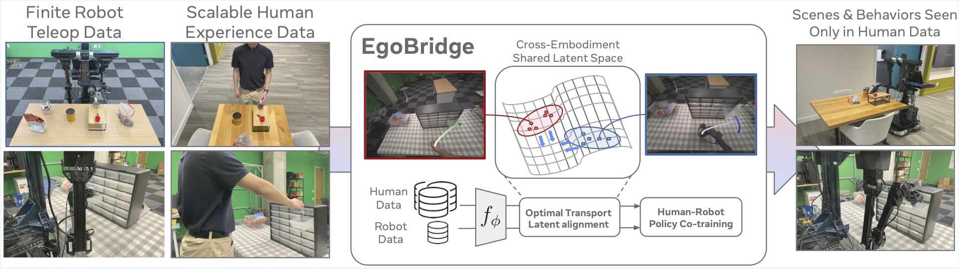 EgoBridge Teaser